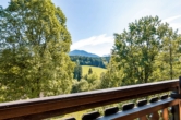 Ausblick