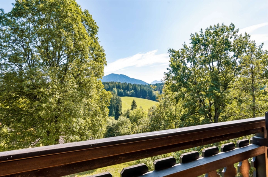 Ausblick